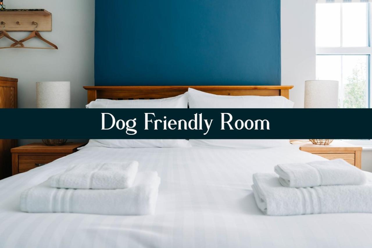 Bryn Berwyn Country House Tresaith Penbryn Room photo